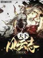 《天下风云志》小说封面