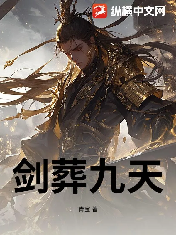 《剑葬九天》小说封面