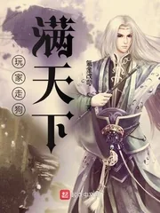 《玩家走狗满天下》小说封面