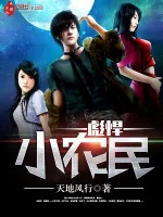 《彪悍小农民》小说封面