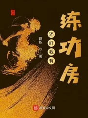 《还好我有练功房》小说封面
