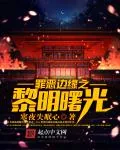 《罪恶边缘之黎明曙光》小说封面