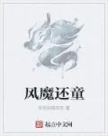 《风魔还童》小说封面