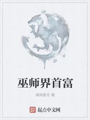 《巫师界首富》小说封面