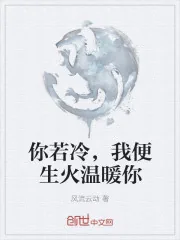 《你若冷，我便生火温暖你》小说封面