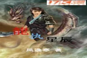 《龙执星辰》小说封面