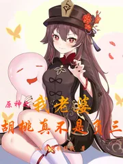 《原神之我老婆胡桃真不是负三》小说封面