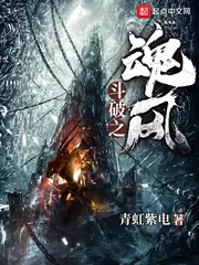 《斗破之魂风》小说封面