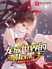 《龙族世界的幕后黑手》小说封面