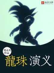 《龙珠演义》小说封面