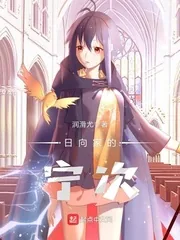 《日向家的宁次》小说封面