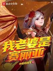 《我老婆是赛丽亚》小说封面