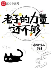 《老子的力量还不够》小说封面