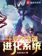 《斗罗之武魂进化系统》小说封面