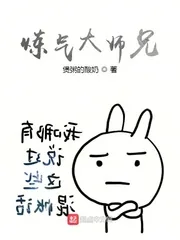 《炼气大师兄》小说封面