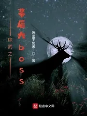 《综武之幕后大boss》小说封面