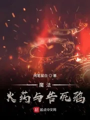 《魔法火药与告死鸦》小说封面