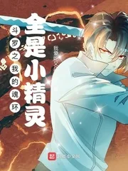 《斗罗之我的魂环全是小精灵》小说封面