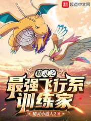 《精灵之最强飞行系训练家》小说封面