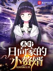 《木叶：日向家的小赘婿》小说封面