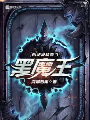 《哈利波特要当黑魔王》小说封面