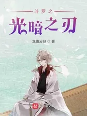 《斗罗之光暗之刃》小说封面