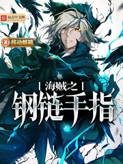 《海贼之钢链手指》小说封面