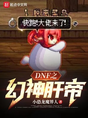 《DNF之幻神肝帝》小说封面