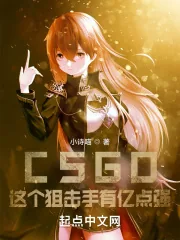 《CSGO:这个狙击手有亿点强!》小说封面