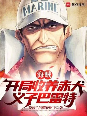 《海贼：开局收养赤犬，义子巴雷特》小说封面