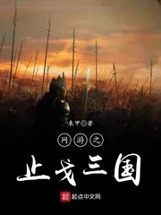 《网游之止戈三国》小说封面